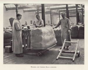 weighing and checking bulk  as received sm.jpg